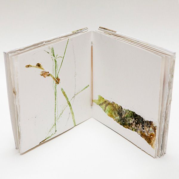 As an artist, my book is a collection of my artwork. It reflects my style, creativity, and passion for visual storytelling.